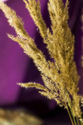 Similar image 21113225