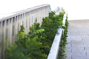 Similar image 21116842