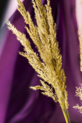 Similar image 21113228