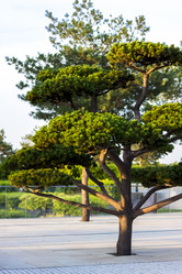 Similar image 21116848