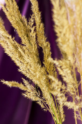 Similar image 21113230