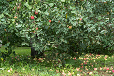 Similar image 21106568