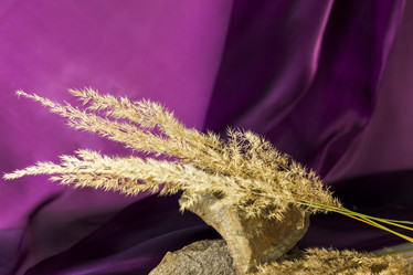 Similar image 21118845