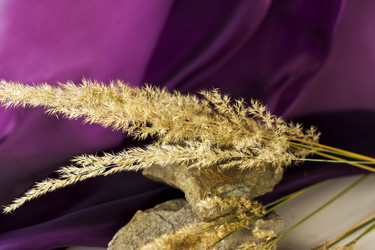 Similar image 21118847