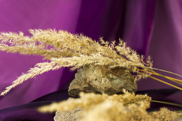 Similar image 21118851