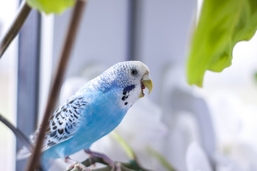 Similar image 21118857