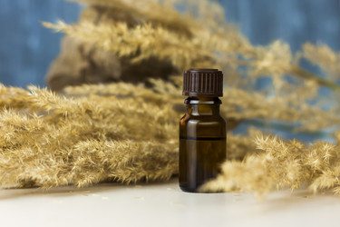 Similar image 21090679