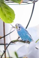 Similar image 21118859