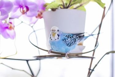 Similar image 21118861