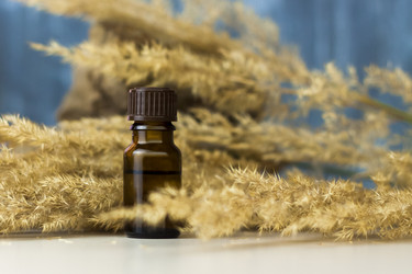 Similar image 21118863