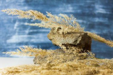 Similar image 21118866