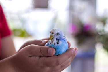 Similar image 21090682