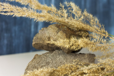 Similar image 21118867