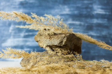 Similar image 21090532