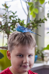 Similar image 21113232