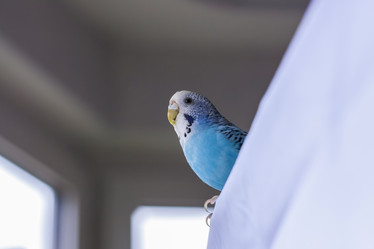 Similar image 21090534