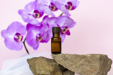 Similar image 21116868