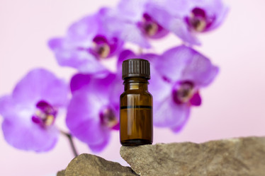 Similar image 21116869