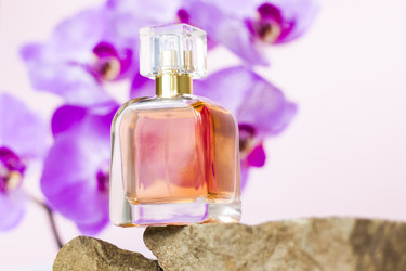 Similar image 21116871