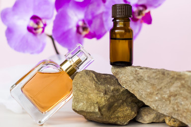 Similar image 21116876