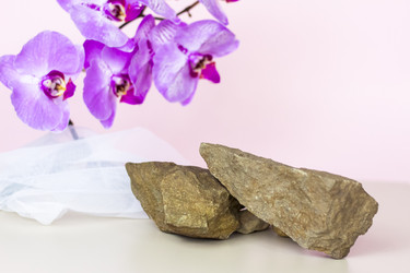 Similar image 21116878