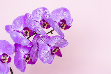 Similar image 21116880