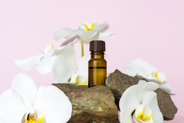 Similar image 21116883