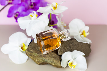 Similar image 21116887