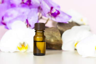 Similar image 21116890