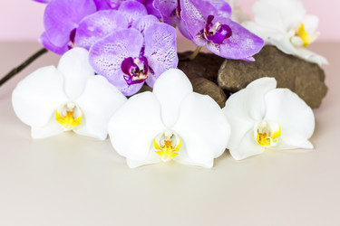 Similar image 21116892