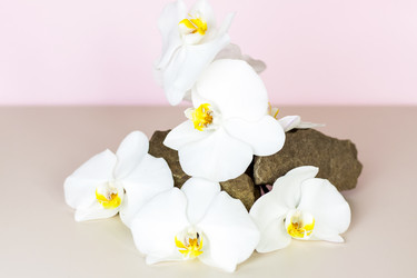 Similar image 21116895