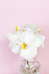 Similar image 21116896