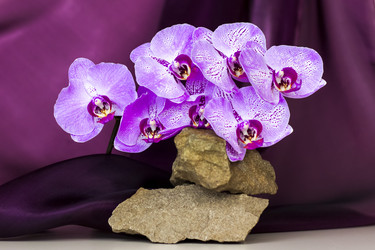 Similar image 21116901