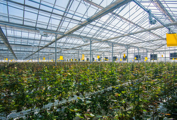 Similar image 21106600