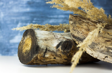 Similar image 21118871