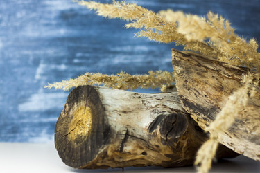 Similar image 21118872