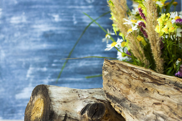 Similar image 21118873