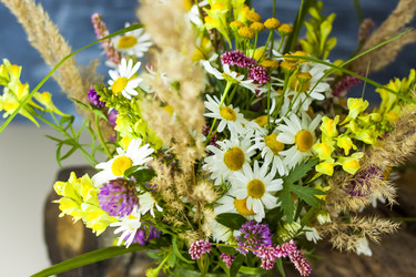 Similar image 21118874