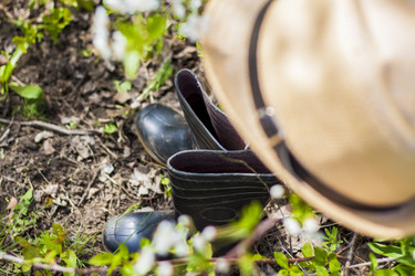 Similar image 21118882