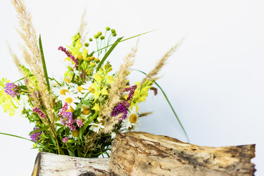 Similar image 21118885