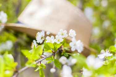 Similar image 21118886