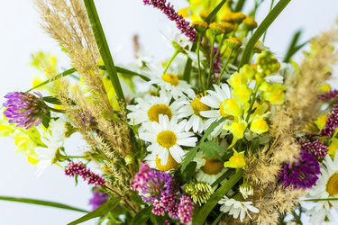 Similar image 21118890