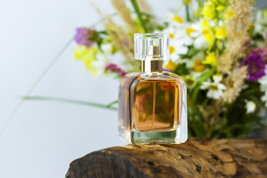 Similar image 21118897