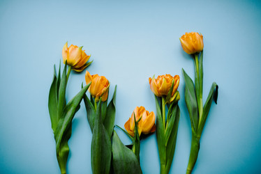 Similar image 21091933