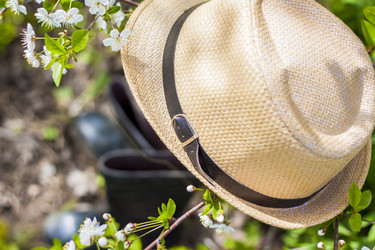 Similar image 21116907