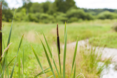 Similar image 21111455