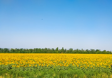 Similar image 21111456