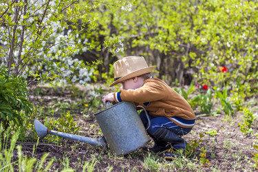 Similar image 21116912