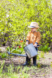 Similar image 21116916