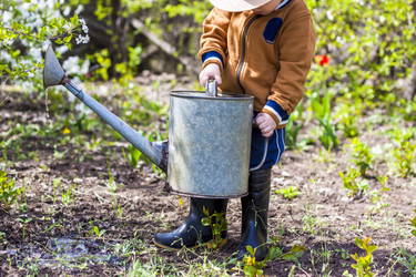 Similar image 21116918